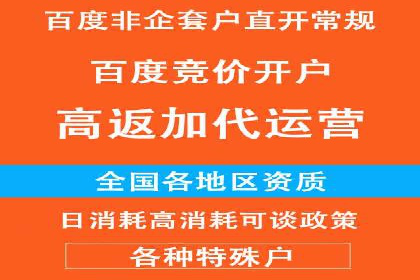 百度SEM推广案例：助力中小企业实现弯道超车